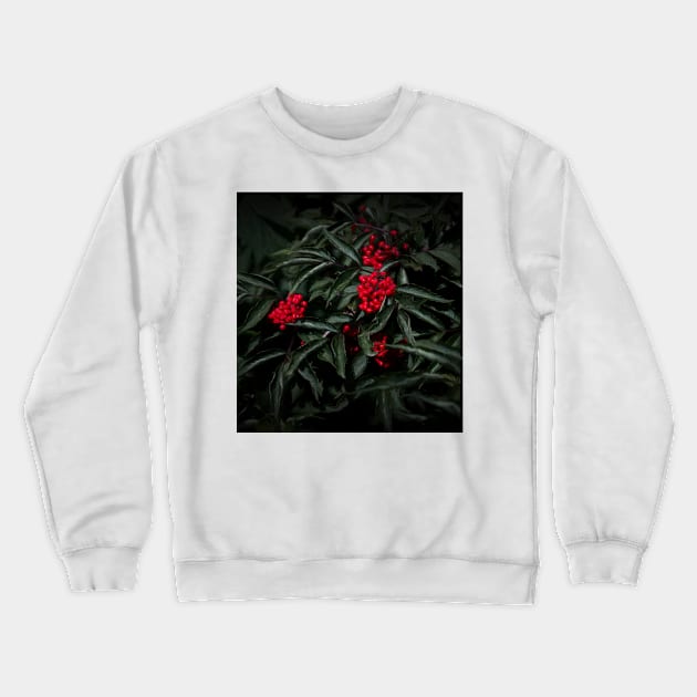 Berries Crewneck Sweatshirt by EvgeniiV